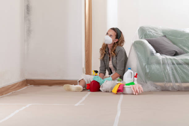 Reliable Mold Cleanup contractor in Cedar Springs, MI by Cheap Mold Removal